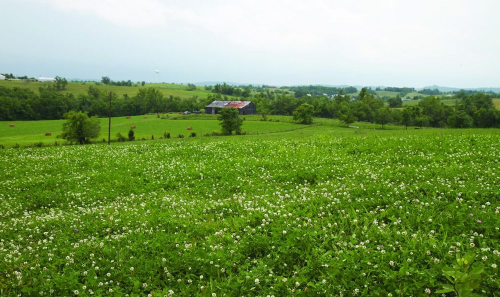 Civil War Trust Preserves 70 Acres at Perryville Battlefield