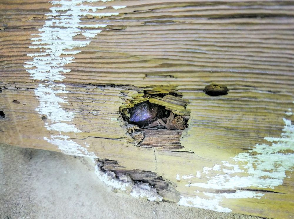 Impacted Ordnance Found in Historic Bushong Farmhouse