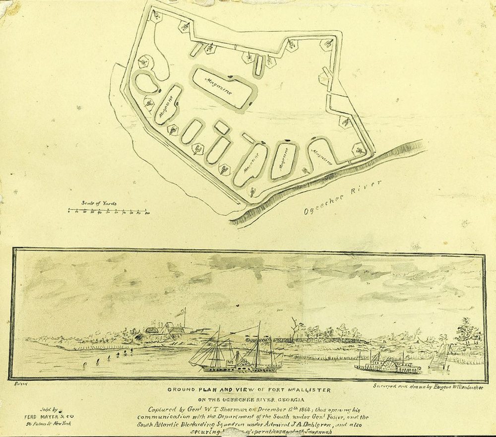 Smithsonian Institute: Open Access Images