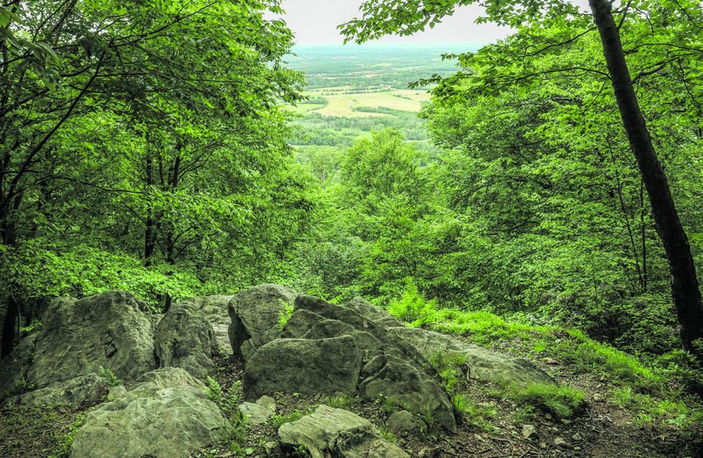 Watching Gettysburg