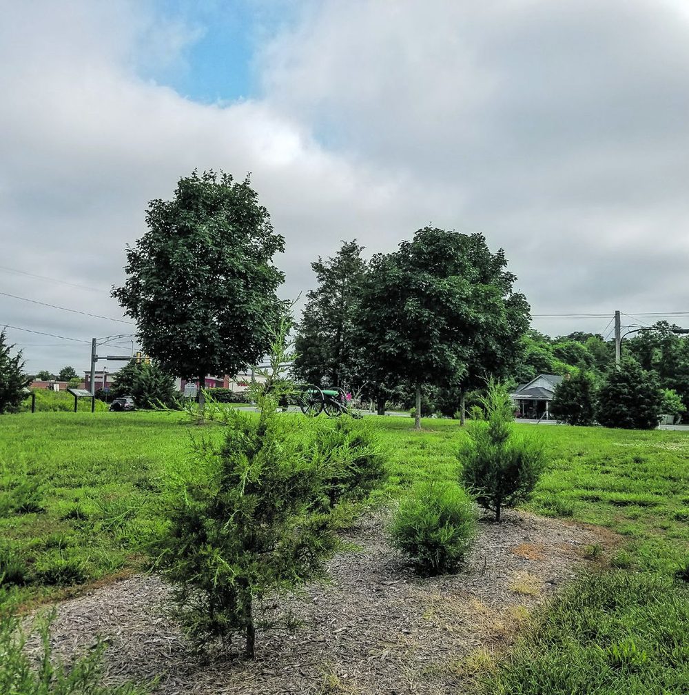Eric Powell Engages Youth in Battlefield Preservation & Looks For New Experiences