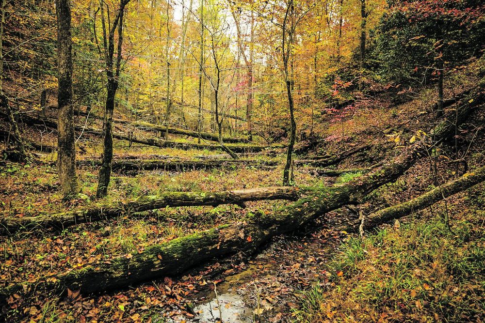 American Battlefield Trust — February 2022