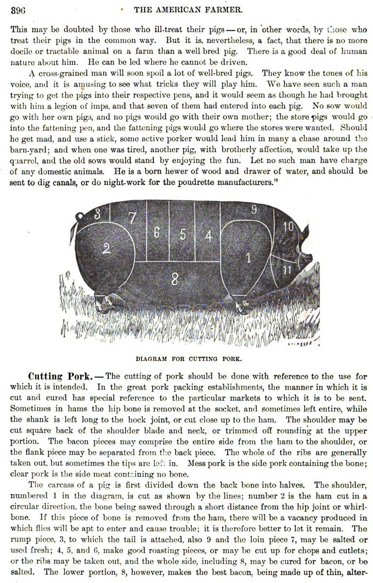 The Pork Ration