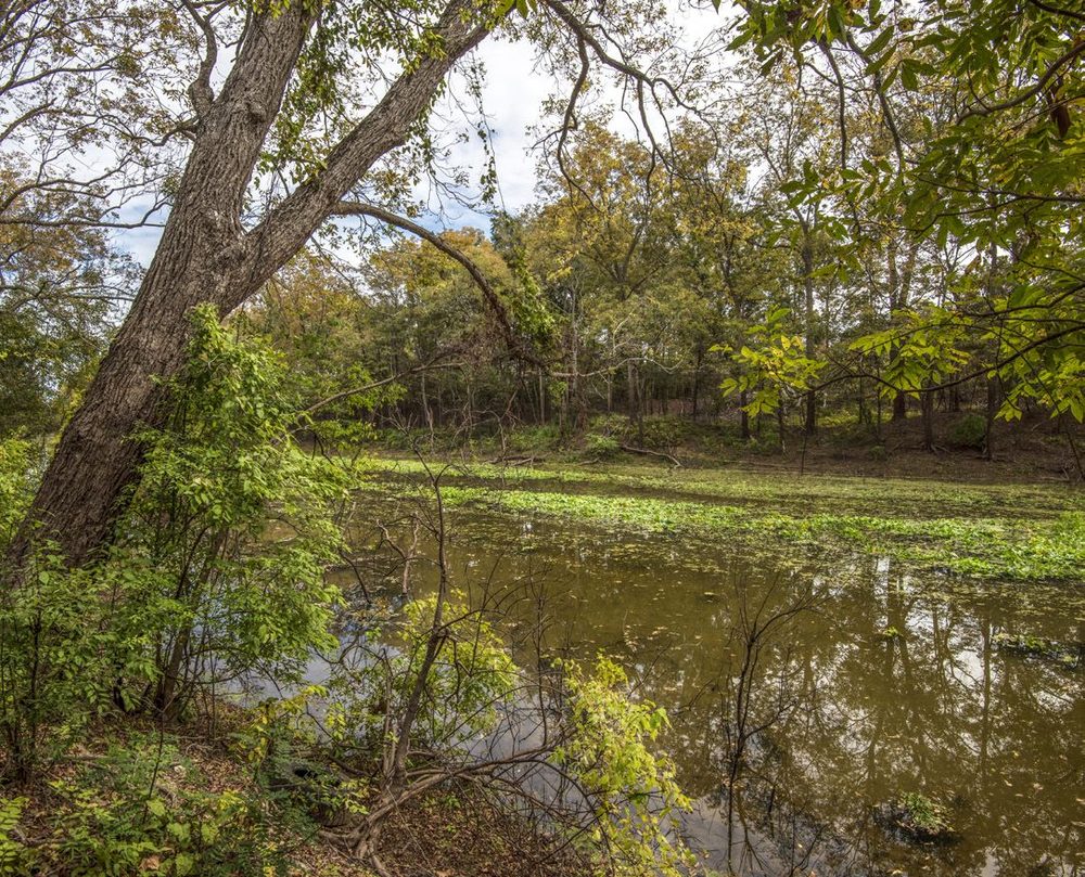 America Battlefield Trust